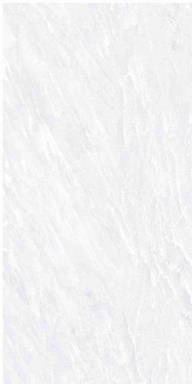 OL Vivid White Polished 12 x 24